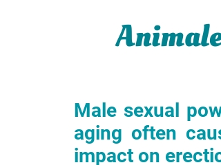 How Can Animale Male Enhancement Canada Function?